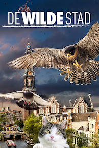 De Wilde Stad