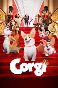 Corgi