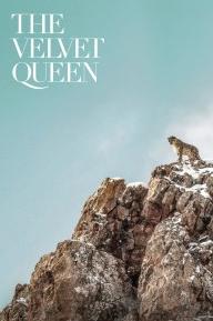 The Velvet Queen